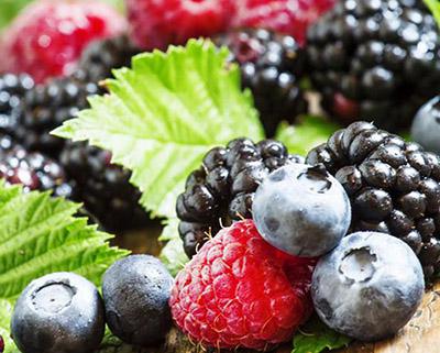 藍莓、樹莓、草莓加工蘑菇视频黄色版