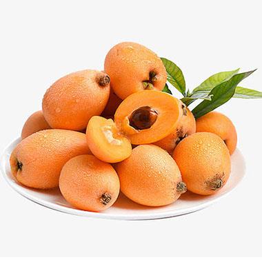 枇杷加工蘑菇视频黄色版