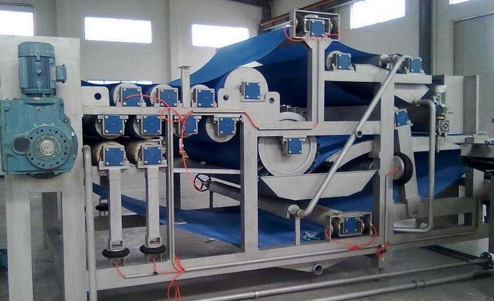 帶式蘑菇视频在线观看免费完整版